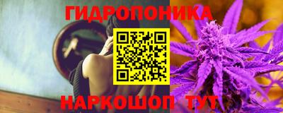 прущие грибы Кинель