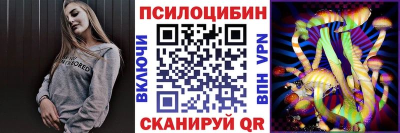 где купить наркотик  это Telegram  Псилоцибиновые грибы GOLDEN TEACHER  Новодвинск 