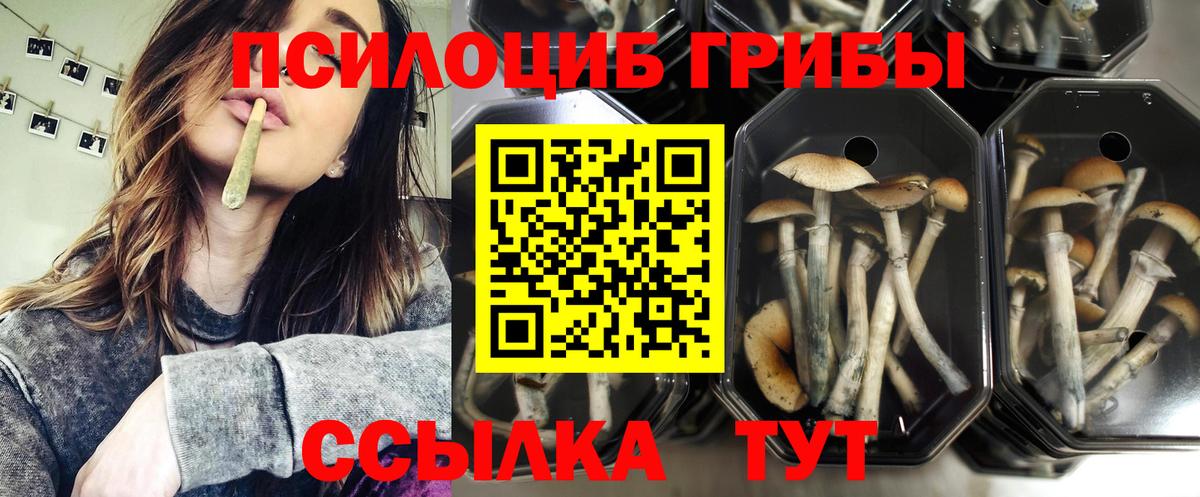 Галлюциногенные грибы MAGIC MUSHROOMS Новодвинск