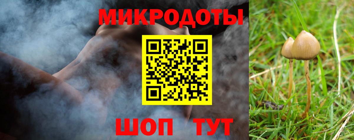 Галлюциногенные грибы Psilocybine cubensis  Псилоцибиновые грибы Magic Shrooms  Новодвинск  Вход с VPN 