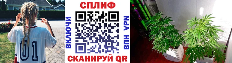МАРИХУАНА LSD WEED  купить наркотик  Новодвинск 
